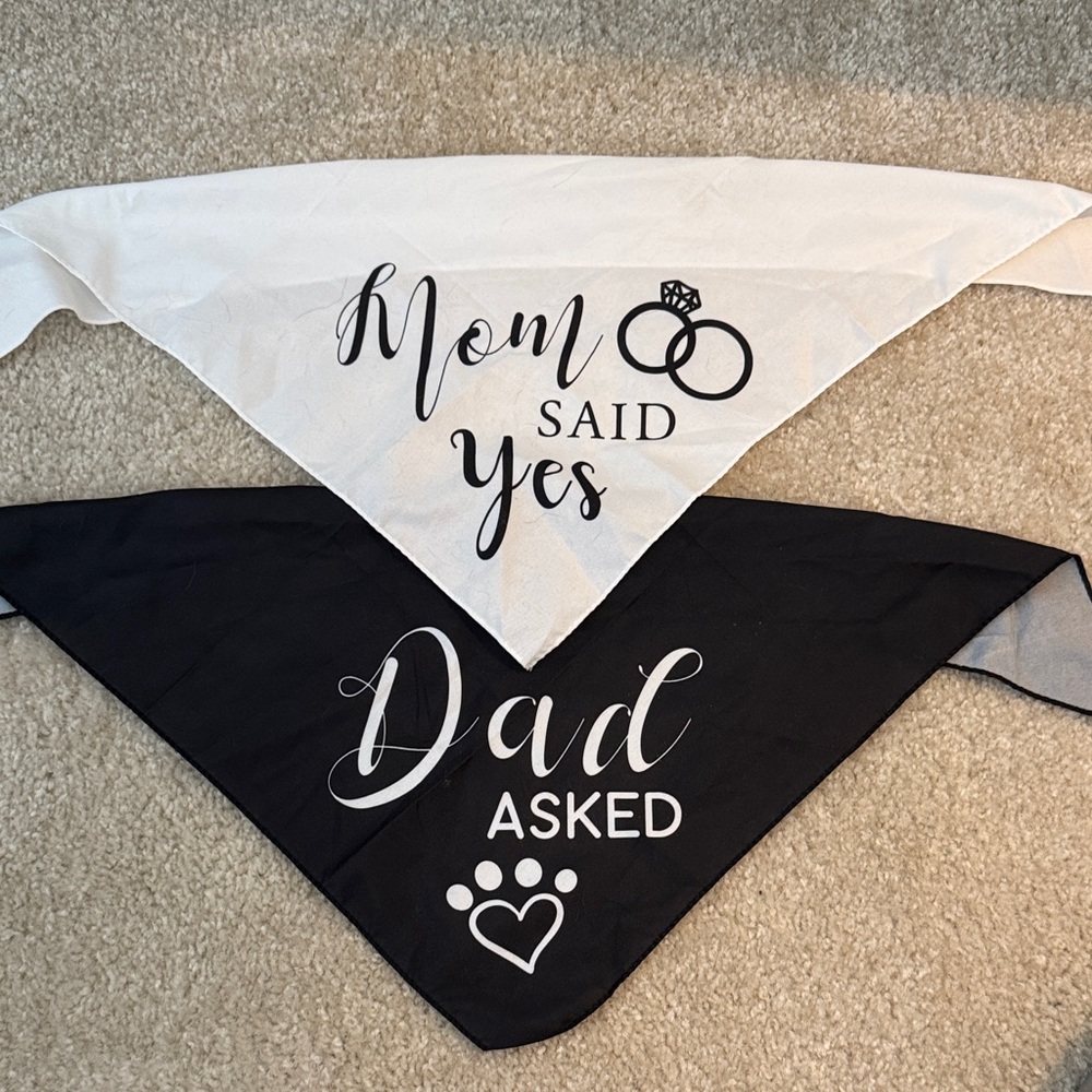 Mom Said Yes / Dad Asked Pet Bandana Set - Black & White